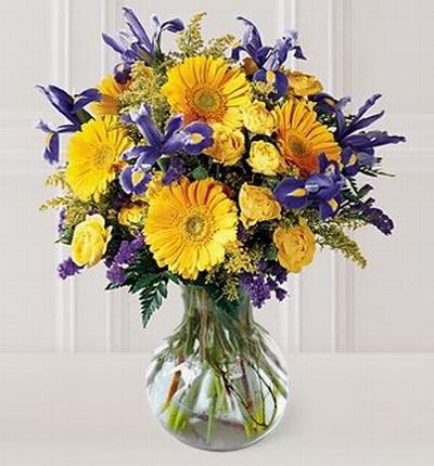 5 Gerbera Daisies, 8 Roses and 6 Iris with larkspurs and fillers.