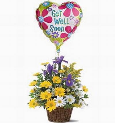 Basket of Shasta Daisies, Iris, fillers and a helium balloon. If balloons are unavailable it will be substituted with a 15cm teddy bear.