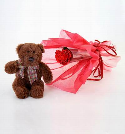 Wrapped Single Rose with 15cm teddy bear. Teddy bears may vary based on availability.