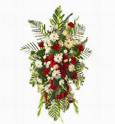 9 white Daisies, 12 red Carnations, white gladiolus,white Chrysanthemums Display