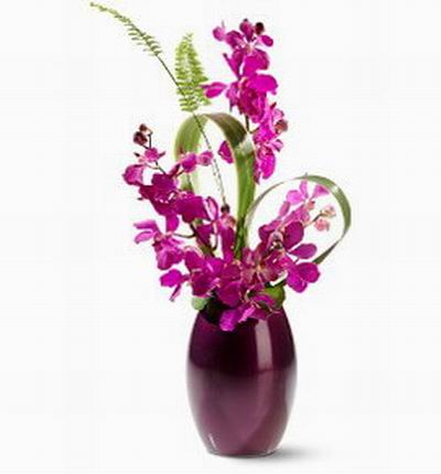 Purple Thailand Orchids. Vase not included.