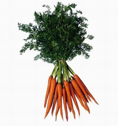 14 Carrots
