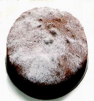 Classic Chocolate cake