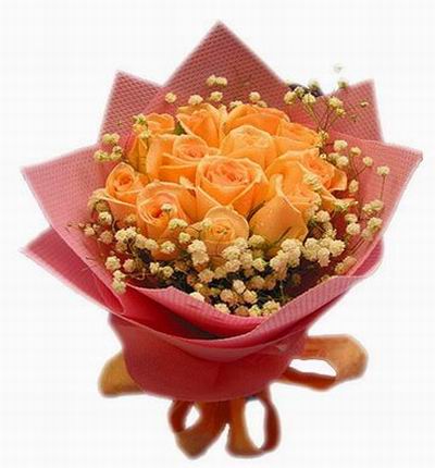 12 peach Roses bouquet with baby breath