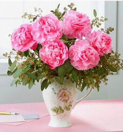 6 pink peonies