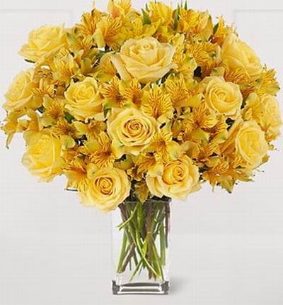 12 yellow Roses and 14 Alstromeria fillers.