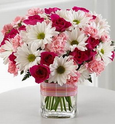 15 red Roses, 15 pink Carnations, 15 white Gerbera Daisies